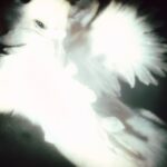 Cover von "Go Fuck Urself" von Fat Dog